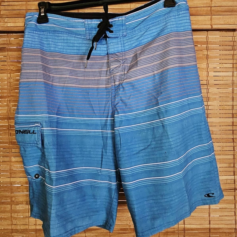 O'Neill Striped Blue Board Shorts